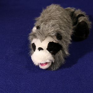 Roxie The Raccoon (Spring Animal) – Trick - magic tricks