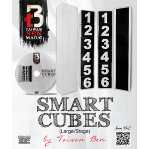 Smart Cubes (Large / Stage) by Taiwan Ben – Trick - magic tricks