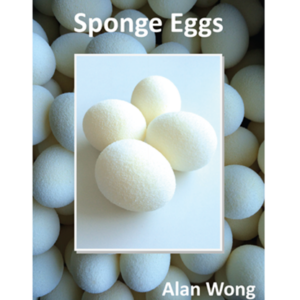 Sponge Eggs (4pk.) by Alan Wong – Trick - magic tricks