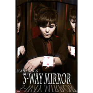 3-Way Mirror by Sean Yang and Magic Soul – Trick - magic tricks