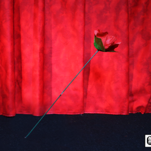 Torch to Rose by Mr. Magic – Trick - magic tricks