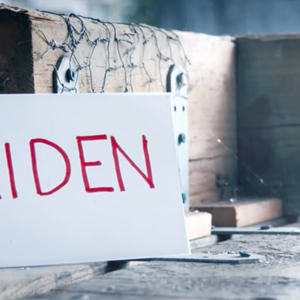 Aiden (DVD and Gimmicks) by Ryuhei Nakamura – DVD - magic tricks