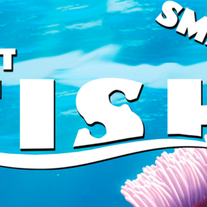 Lost Fish (Small) by Aprendemagia – Trick - magic tricks