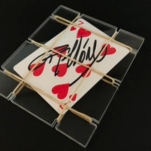 Card Captured by Bazar de Magia – Trick - magic tricks