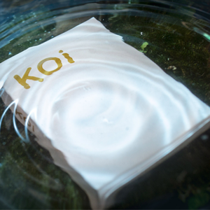 Koi V2 Playing Cards by Byron Leung - magic tricks