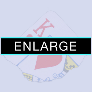 Enlarge (DVD and Gimmicks) by SansMinds – DVD - magic tricks