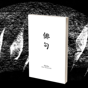 Haiku Book Test 2.0 by Vincent Hedan – Trick - magic tricks