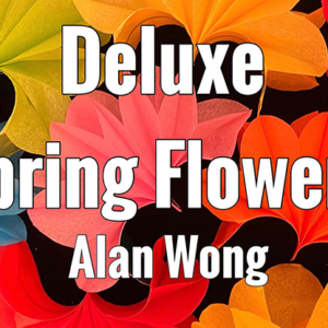 Deluxe Spring Flowers by Alan Wong – Trick - magic tricks