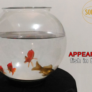 APPEARING FISH IN BOWL by Sorcier Magic - magic tricks