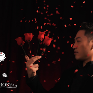 Y-Rose 2.0 by Mr. Y & Bond Lee – Trick - magic tricks
