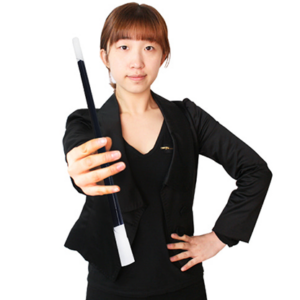 Appearing & Vanishing Wand (Black) by JL Magic – Trick - magic tricks