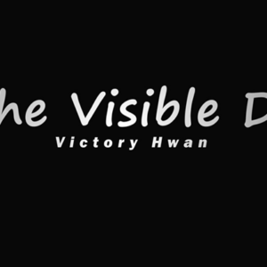In the Visible Deck RED (Gimmicks and Online Instruction by Victory Hwan- Trick - magic tricks