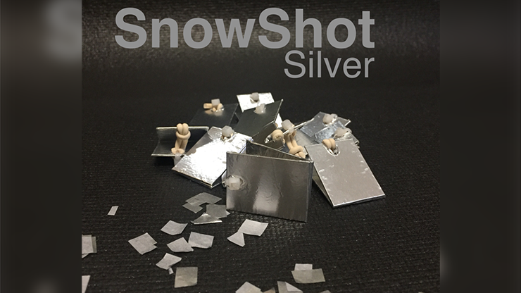 SnowShot SILVER (10 ct.) by Victor Voitko (Gimmick and Online Instructions) – Trick - magic tricks
