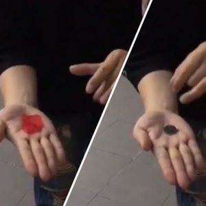 PETAL TO COIN by JL Magic – Trick - magic tricks