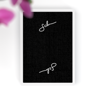 Daniel Schneider Limited Edition Playing Cards - magic tricks