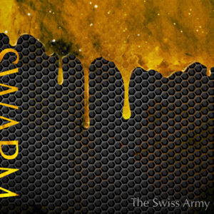 Swarm (Gimmicks and Online Instructions) by Abstract Effects – Trick - magic tricks