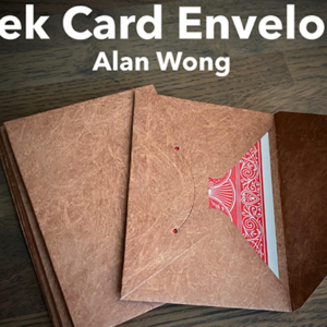 Tyvek Card Envelopes 10 pk. BROWN by Alan Wong- Trick - magic tricks