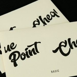 ChequePoint Basic by Hide & Creators P – Trick - magic tricks