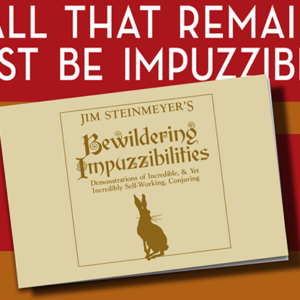 Bewildering Impuzzibilities by Jim Steinmeyer – Book - magic tricks