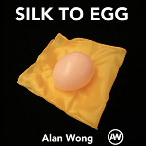 Silk To Egg (Brown/with Yellow silk) by Alan Wong – Trick - magic tricks