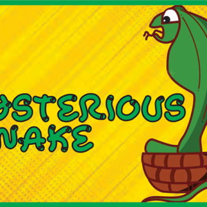 Mysterious Snake (Gimmicks and Online Instructions) by Mago Flash - magic tricks