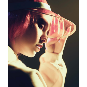 The Mendez Principle by Fraser Parker – Book - magic tricks