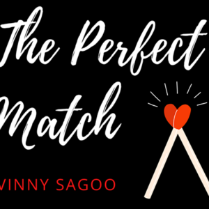 PERFECT MATCH (Gimmicks and Online Instructions) by Vinny Sagoo – Trick - magic tricks