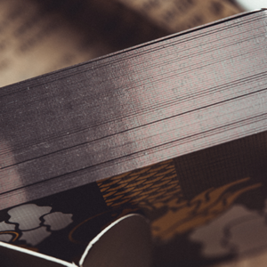 The Dragon (Black Gilded) Playing Cards - magic tricks