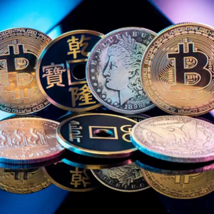 LCC Pro by N2G - magic tricks