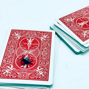 The Fly (Red) by Ronjo Magic - magic tricks