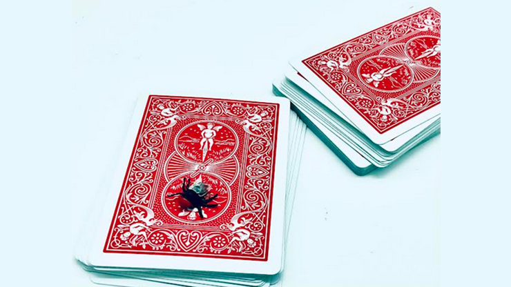 The Fly (Red) by Ronjo Magic - magic tricks