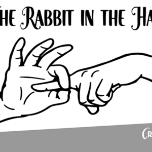 The Rabbit In the Hat by Creativity Lab - magic tricks