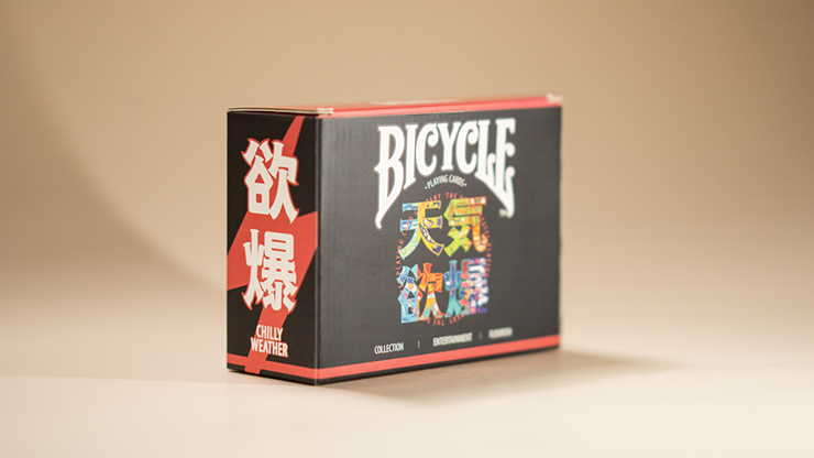 Bicycle Chilly Weather Blind Pack (Half Brick) Playing Cards - magic tricks