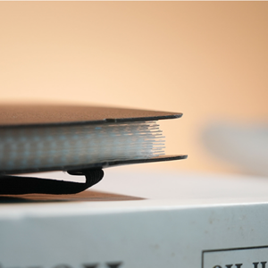 Svengali Album by Winston & TCC Magic (Playing Card Size) - magic tricks