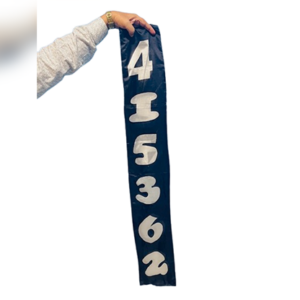 Jumbled Numbers by The Essel Magic - magic tricks