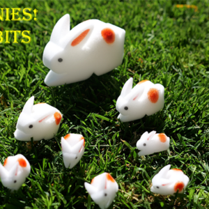 The Bunnies! 3D Rabbits (Parents, Kids & Grandpa) - magic tricks