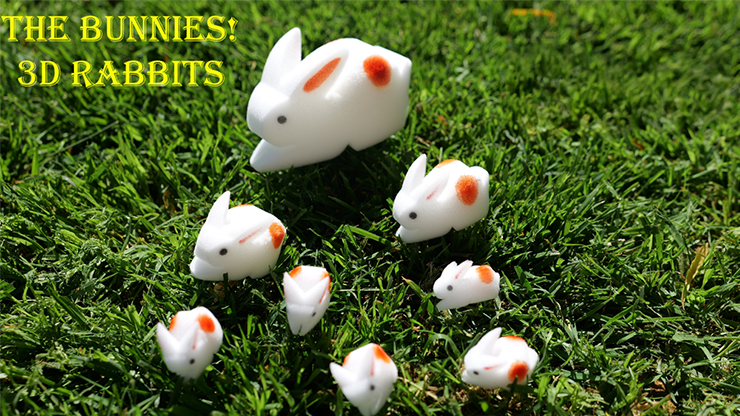 The Bunnies! 3D Rabbits (Parents, Kids & Grandpa) - magic tricks