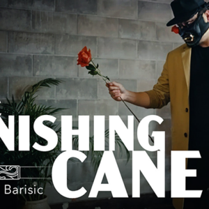 Vanishing Cane (Stage) by Bojan Barisic and Stage Elegance - magic tricks