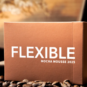 Flexible Mocha Mousse Playing Cards by TCC - magic tricks