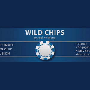 Wild Chips by Joel Anthony - magic tricks