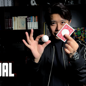 Ball on Card (Red) by Bond Lee & MS Magic - magic tricks