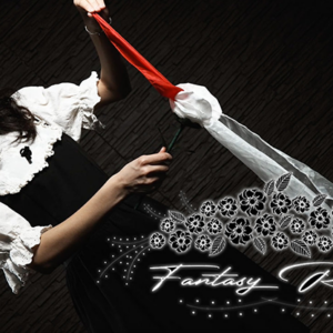 Fantasy Rose by Leon, Bond Lee & MS Magic - magic tricks
