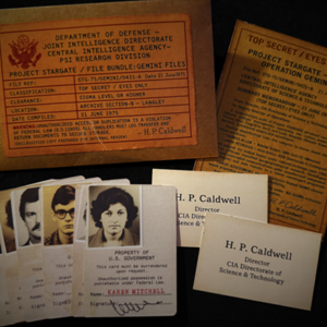 Gemini Files by Dead Rebel Magic - magic tricks