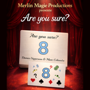 Are You Sure? by Damien Vappereau and Marc Céliandre - magic tricks