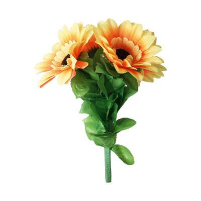 Amazing Split Sunflower by Premium Magic – Trick - magic tricks