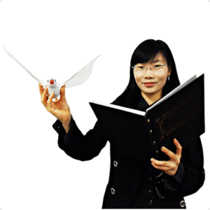 Dove & Rabbit Book by JL Magic - magic tricks