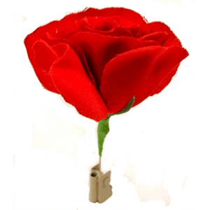 Match to Rose by Mr. Magic – Trick - magic tricks