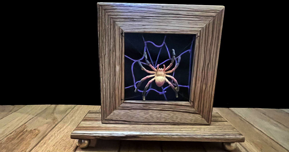 Spideriffic (Desktop) - magic tricks