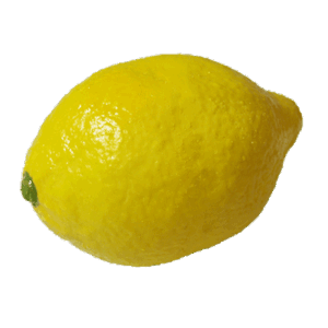 Super Real Latex Lemon – Trick - magic tricks