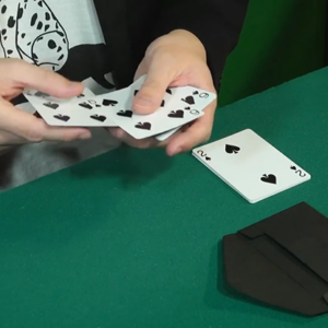 Logic Art by Kiyoshi Sato & Nojima - magic tricks